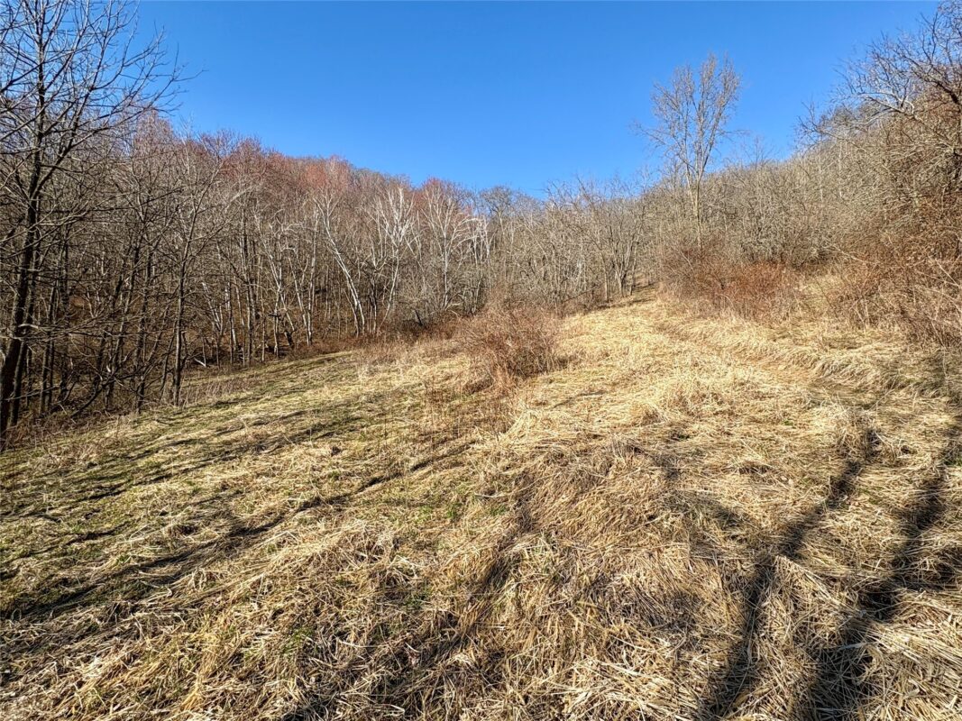 N3430 County Road II Bangor WI 54614 — photo 44