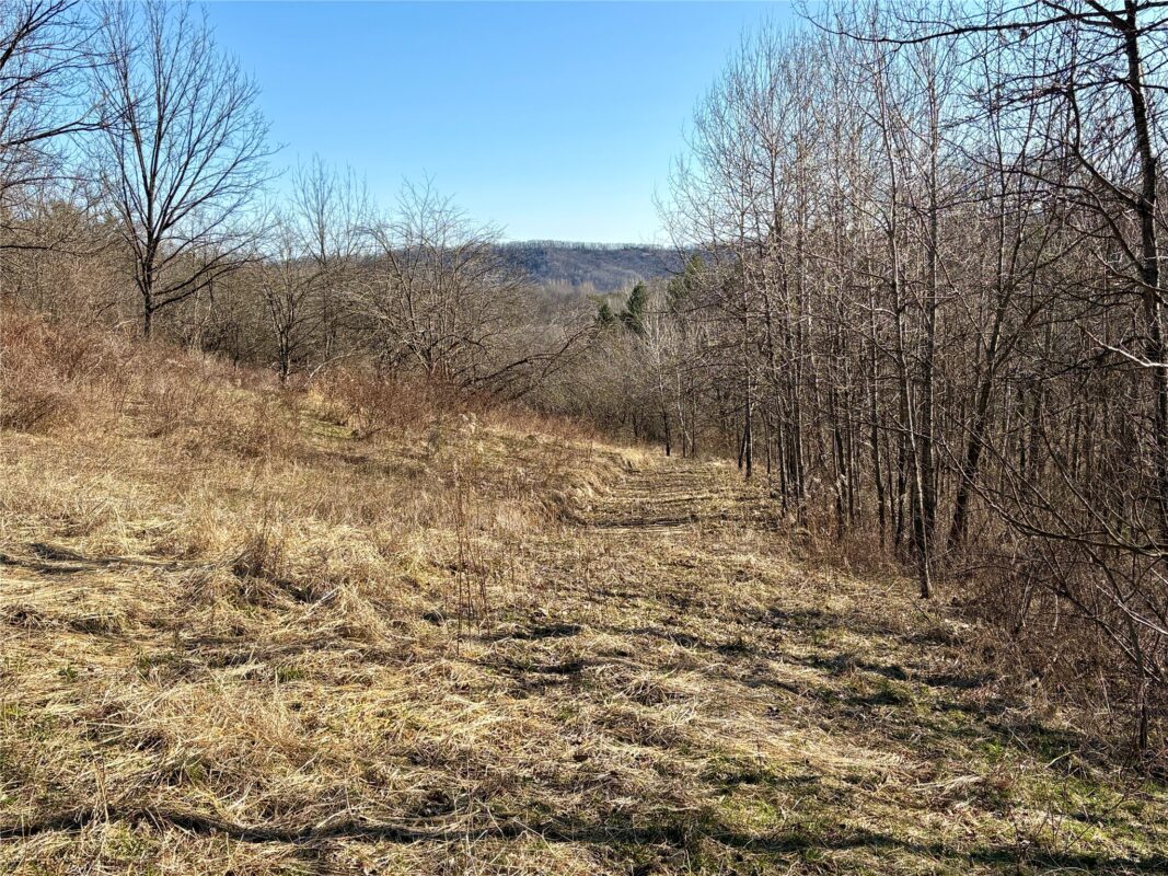 N3430 County Road II Bangor WI 54614 — photo 45