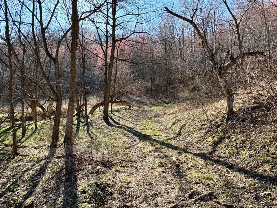 N3430 County Road II Bangor WI 54614 — photo 46