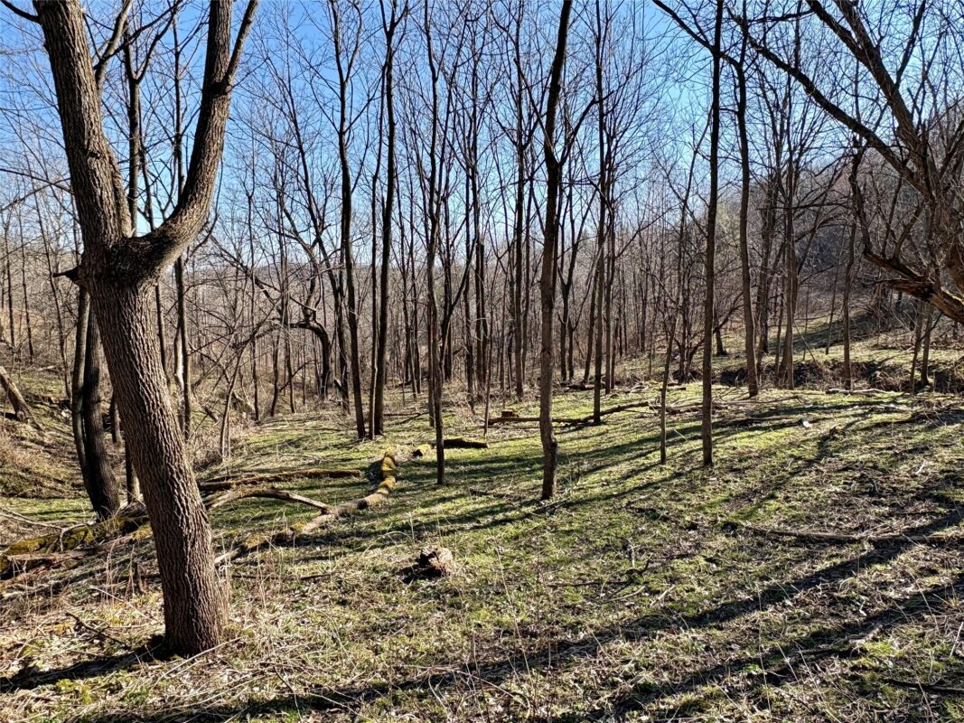 N3430 County Road II Bangor WI 54614 — photo 47