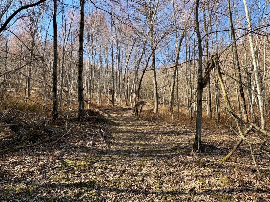 N3430 County Road II Bangor WI 54614 — photo 48