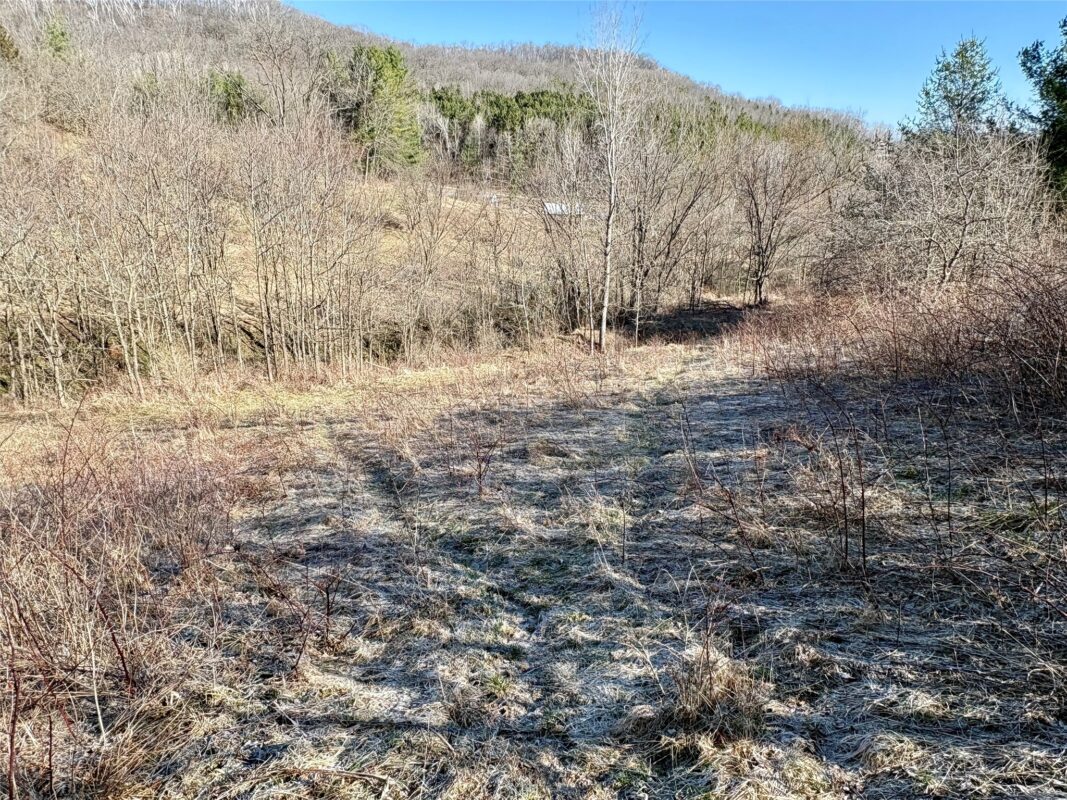 N3430 County Road II Bangor WI 54614 — photo 49