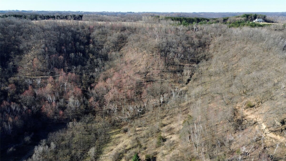 N3430 County Road II Bangor WI 54614 — photo 5