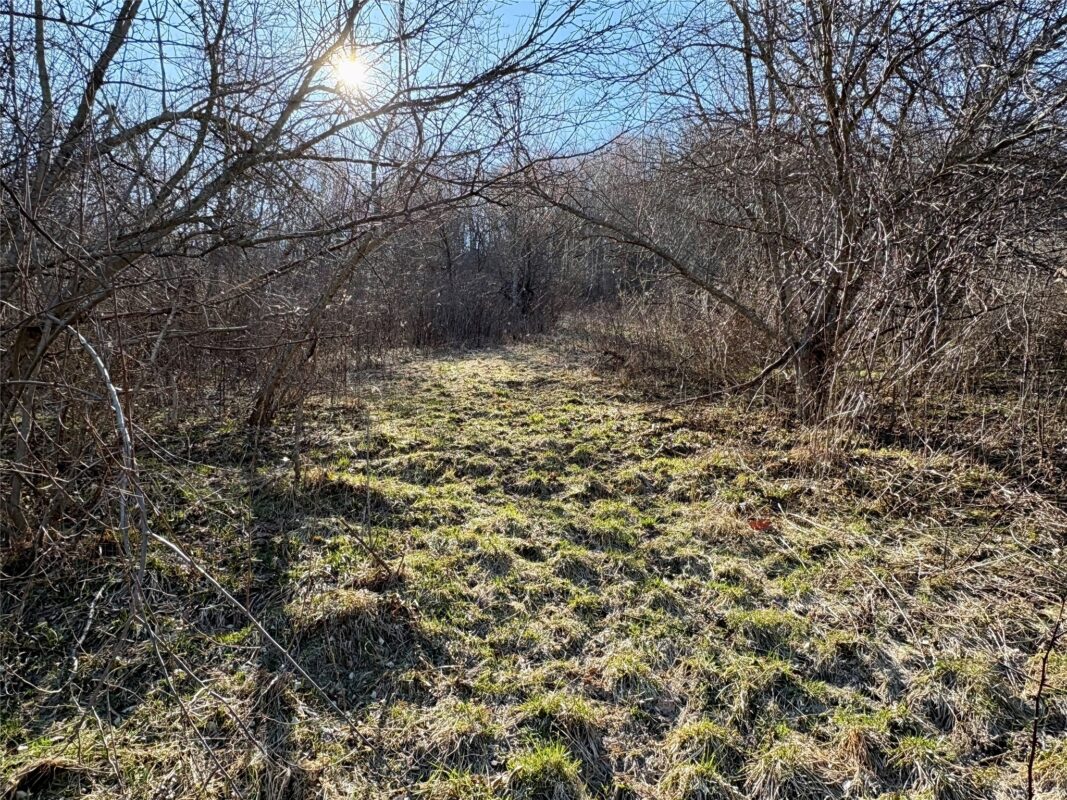 N3430 County Road II Bangor WI 54614 — photo 50
