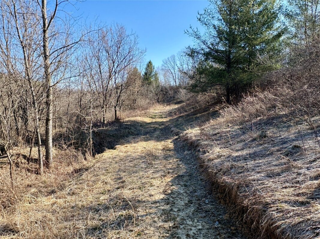 N3430 County Road II Bangor WI 54614 — photo 51
