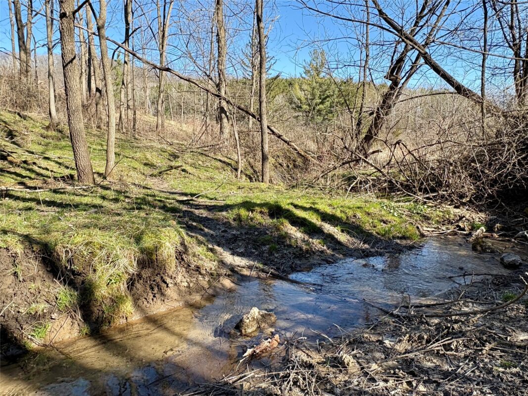 N3430 County Road II Bangor WI 54614 — photo 52