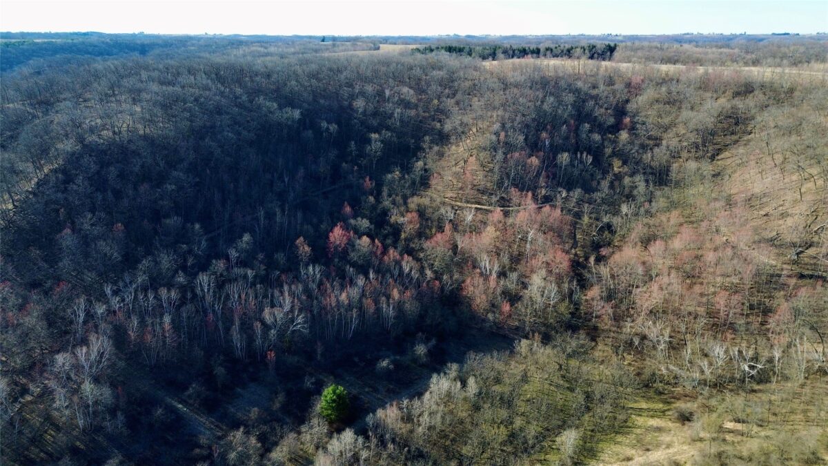N3430 County Road II Bangor WI 54614 — photo 6