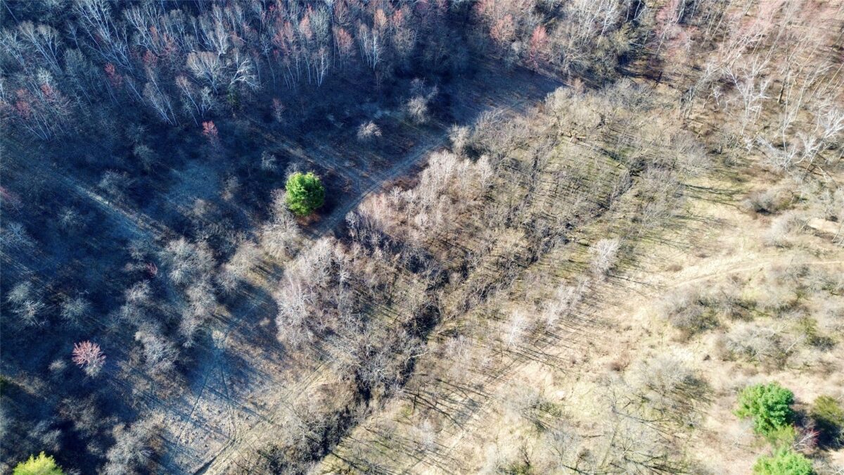 N3430 County Road II Bangor WI 54614 — photo 7