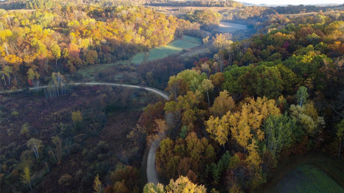 N35194 Przybilla Lane Independence WI 54747 — photo 12