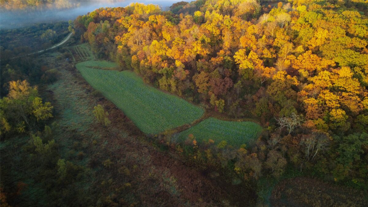 N35194 Przybilla Lane Independence WI 54747 — photo 15