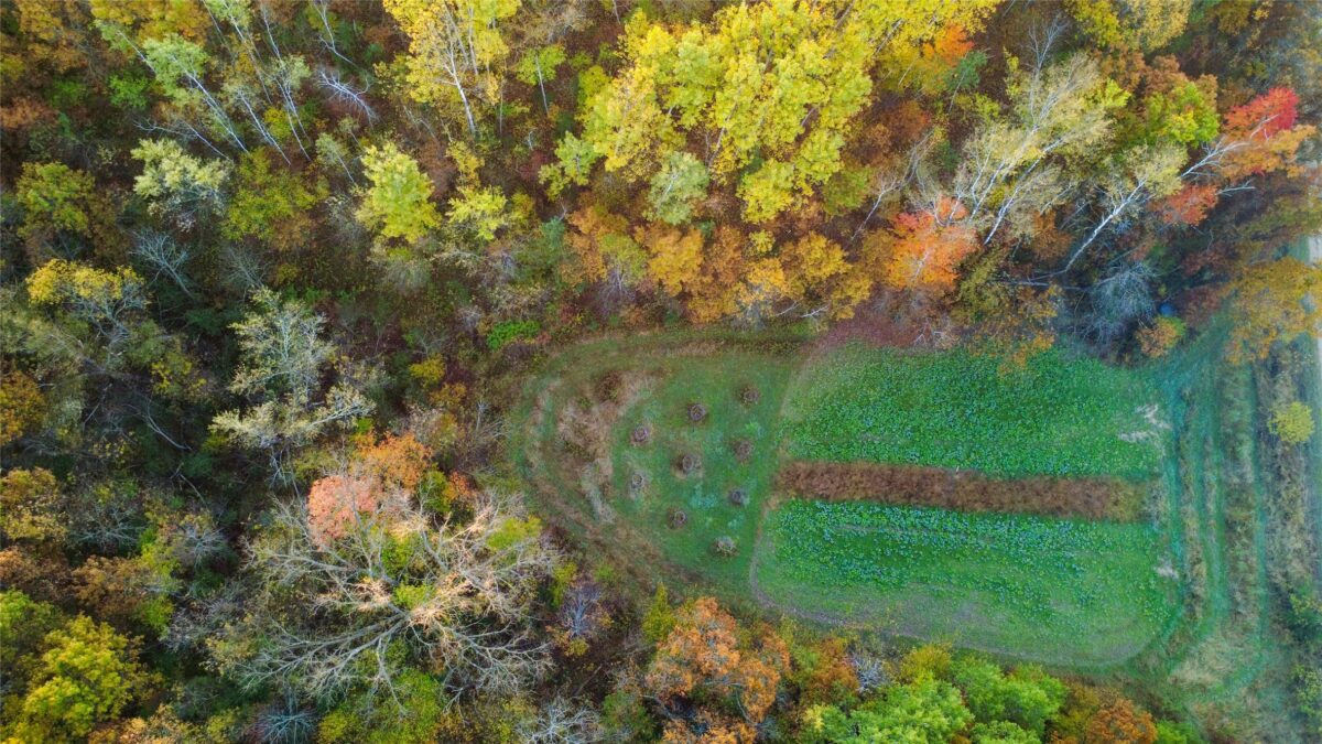 N35194 Przybilla Lane Independence WI 54747 — photo 16