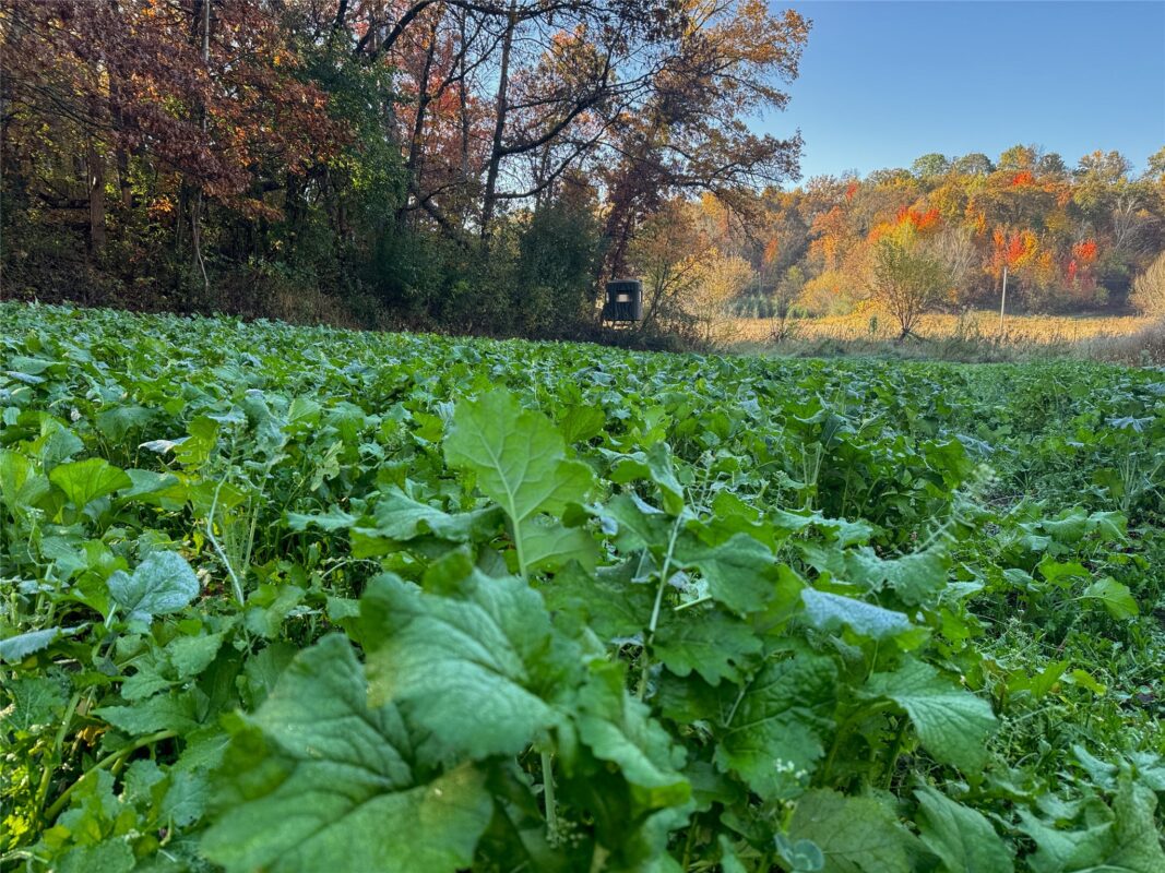 N35194 Przybilla Lane Independence WI 54747 — photo 17