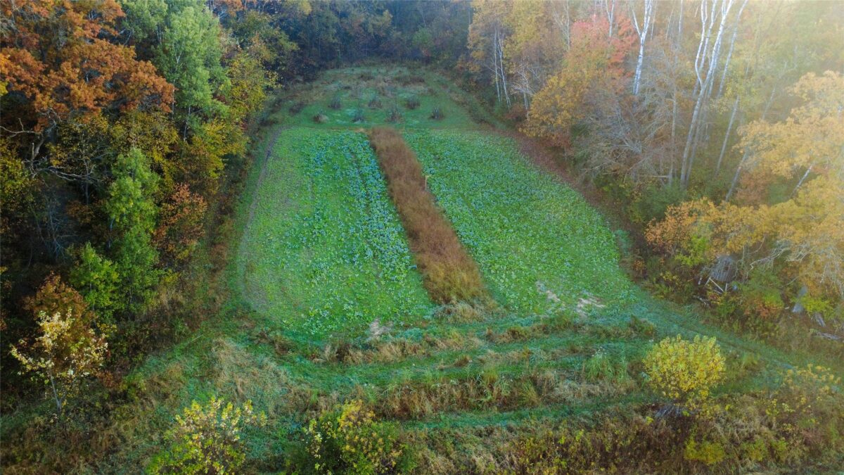 N35194 Przybilla Lane Independence WI 54747 — photo 18