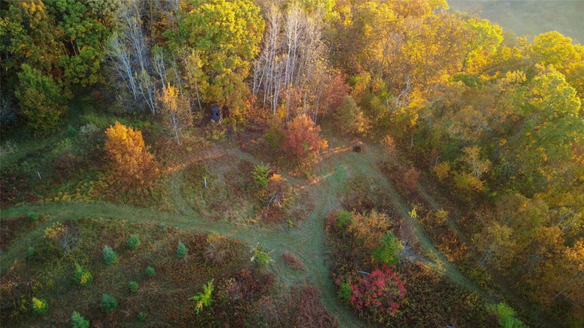 N35194 Przybilla Lane Independence WI 54747 — photo 21
