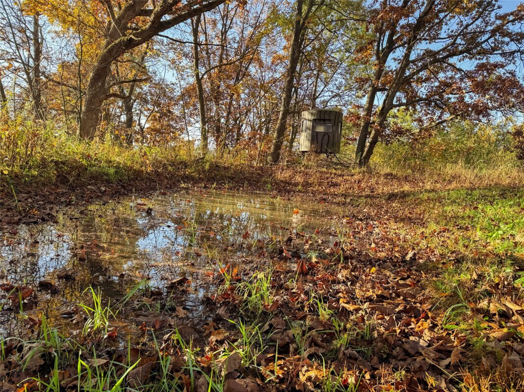 N35194 Przybilla Lane Independence WI 54747 — photo 23