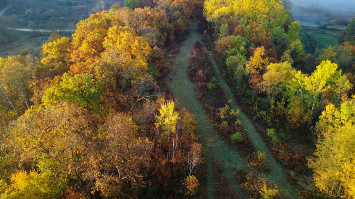 N35194 Przybilla Lane Independence WI 54747 — photo 24