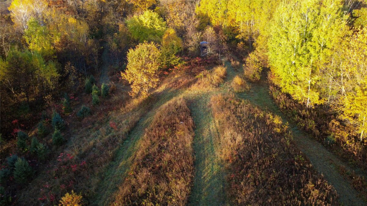 N35194 Przybilla Lane Independence WI 54747 — photo 25