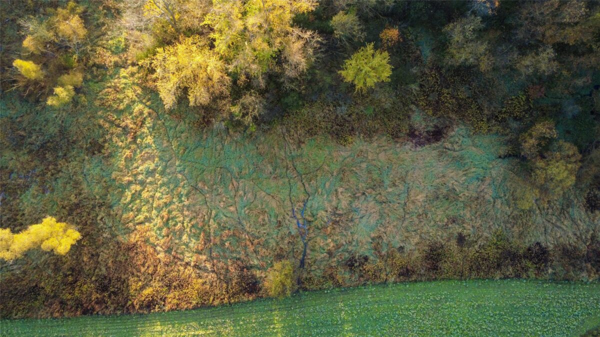 N35194 Przybilla Lane Independence WI 54747 — photo 26