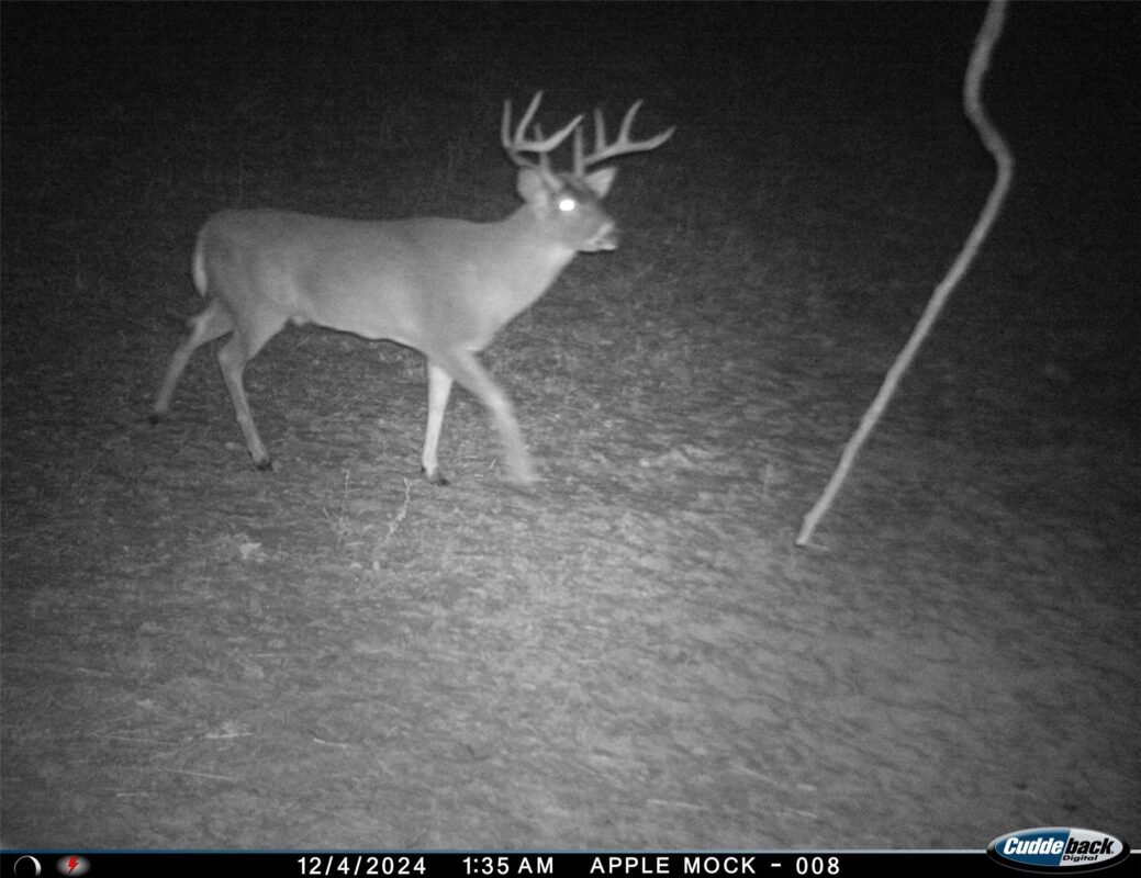 N35194 Przybilla Lane Independence WI 54747 — photo 29