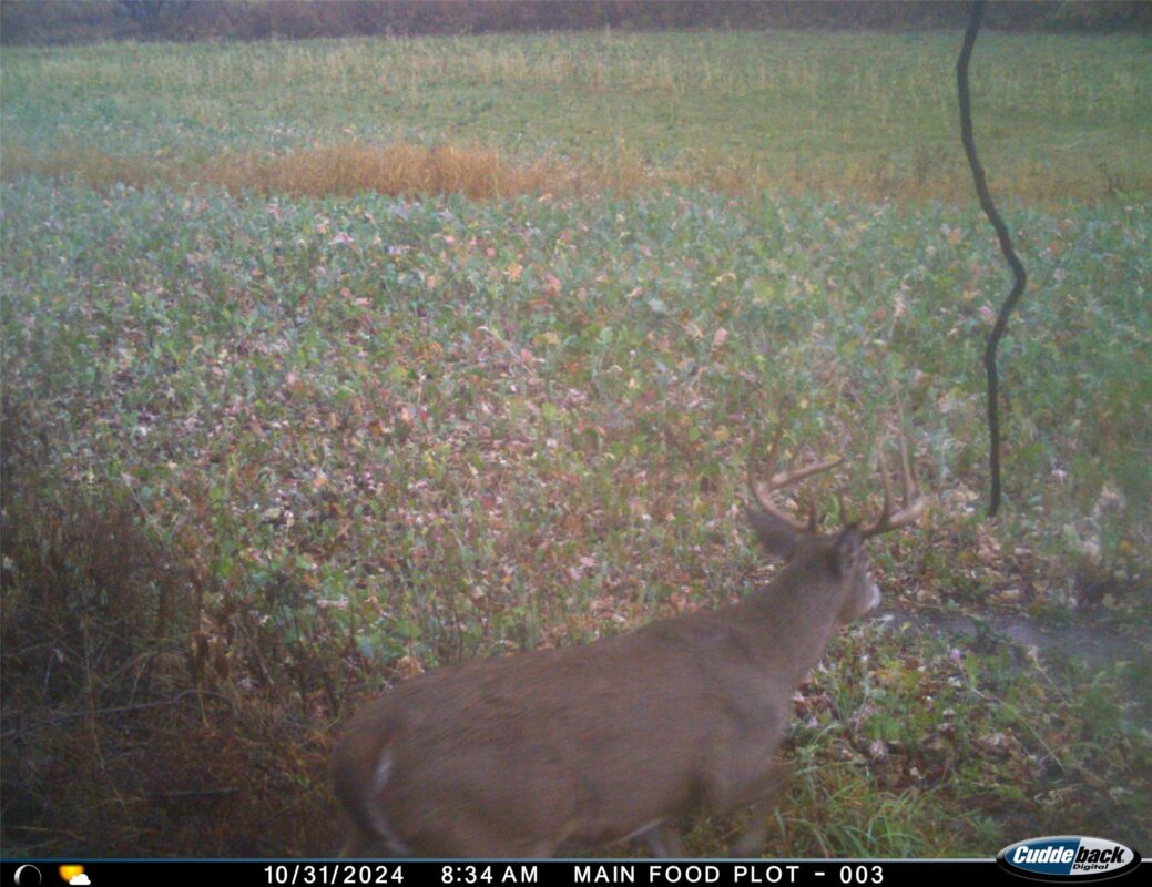 N35194 Przybilla Lane Independence WI 54747 — photo 36