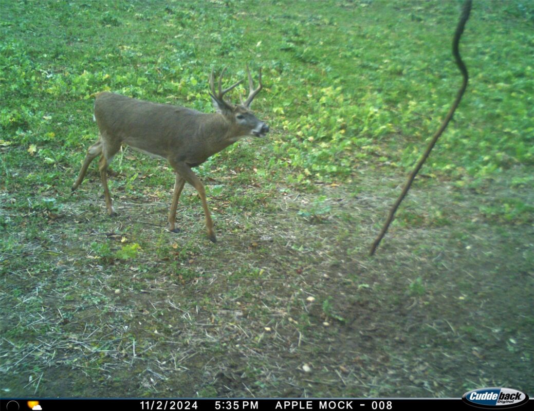 N35194 Przybilla Lane Independence WI 54747 — photo 37