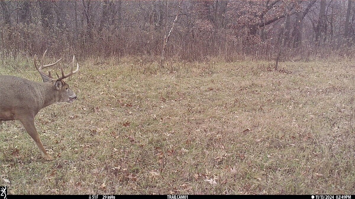 N35194 Przybilla Lane Independence WI 54747 — photo 53