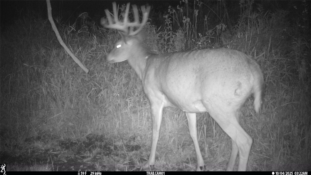 N35194 Przybilla Lane Independence WI 54747 — photo 54