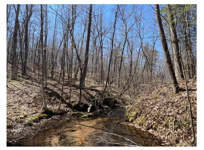 N4385 Red Oak Lane, Stone Lake, WI — photo 10