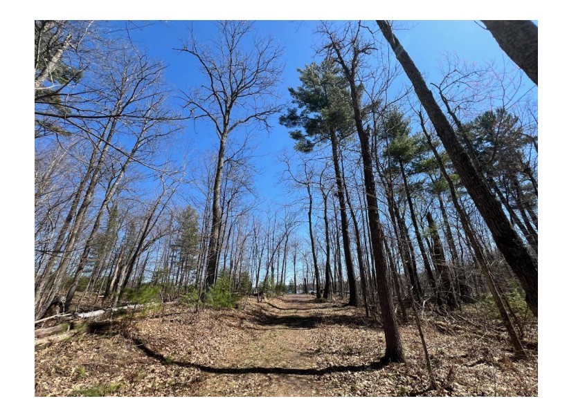 N4385 Red Oak Lane, Stone Lake, WI — photo 12