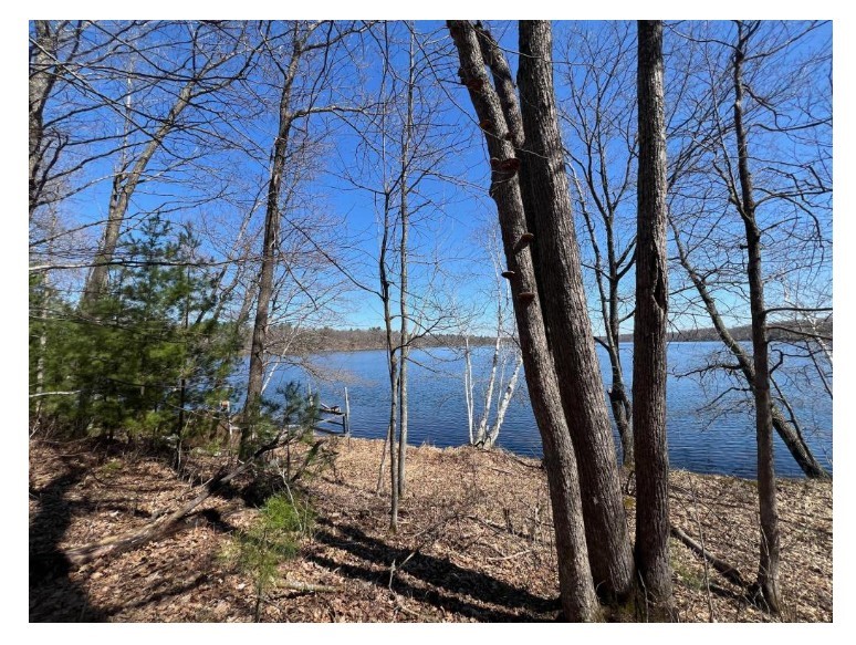 N4385 Red Oak Lane, Stone Lake, WI — photo 13