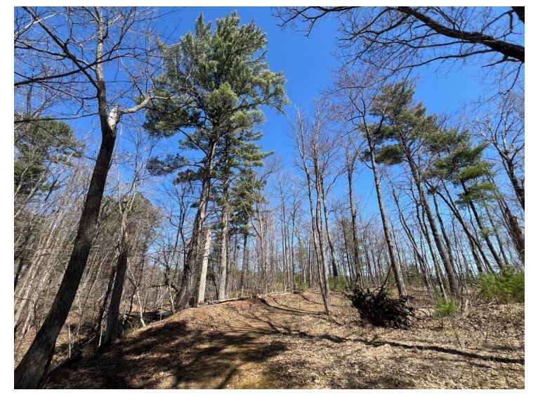 N4385 Red Oak Lane, Stone Lake, WI — photo 15