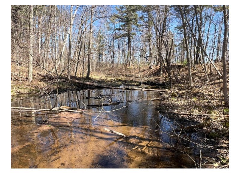 N4385 Red Oak Lane, Stone Lake, WI — photo 16