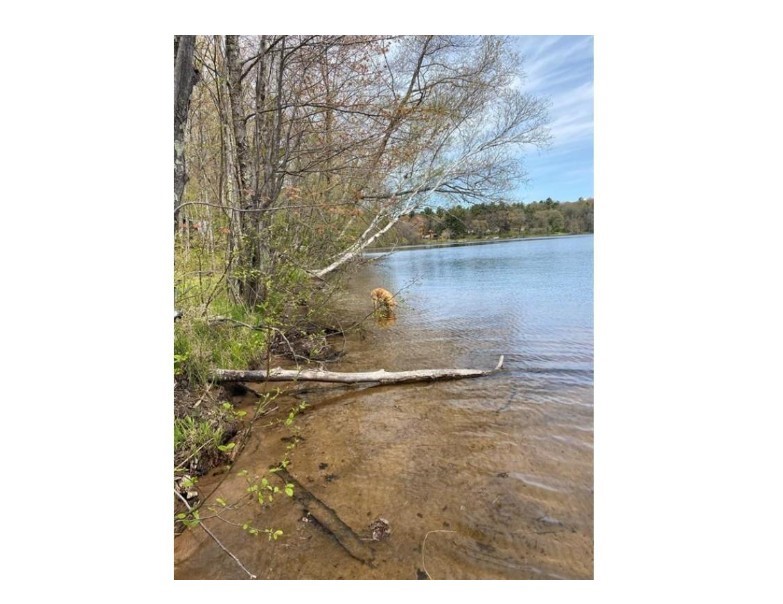 N4385 Red Oak Lane, Stone Lake, WI — photo 6