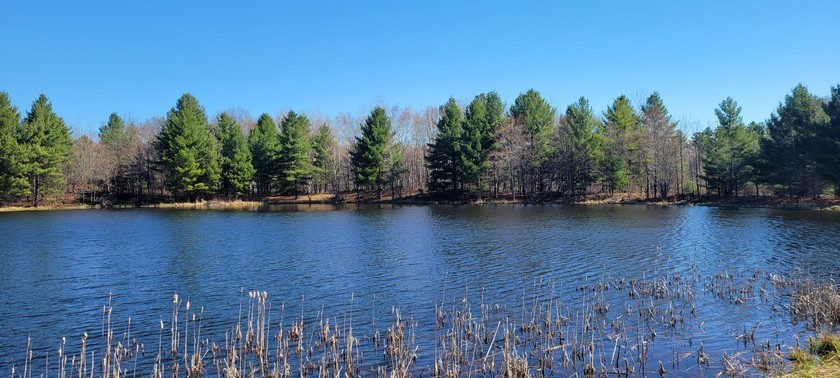 N514 Lehman Lake Rd Barronett WI 54813 — photo 9