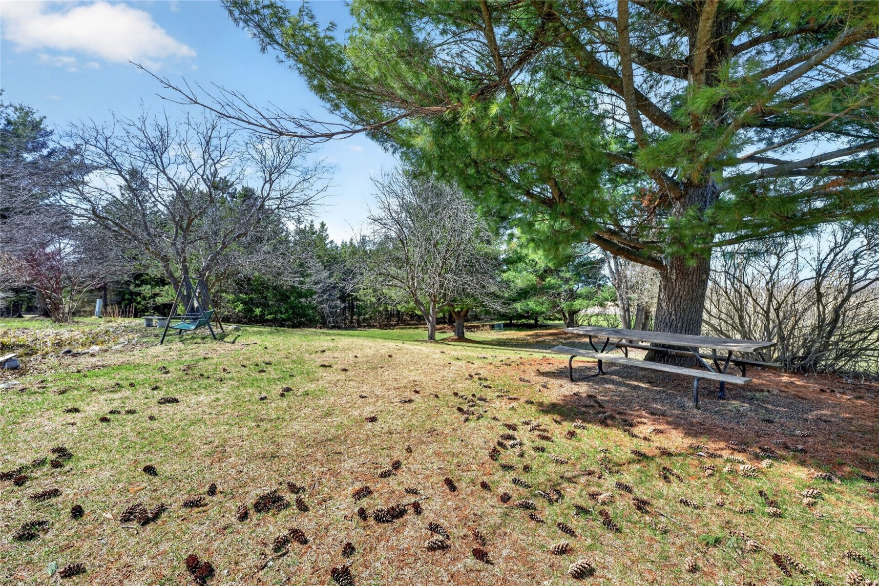 N5940 State Highway 40, Bruce, WI — photo 14