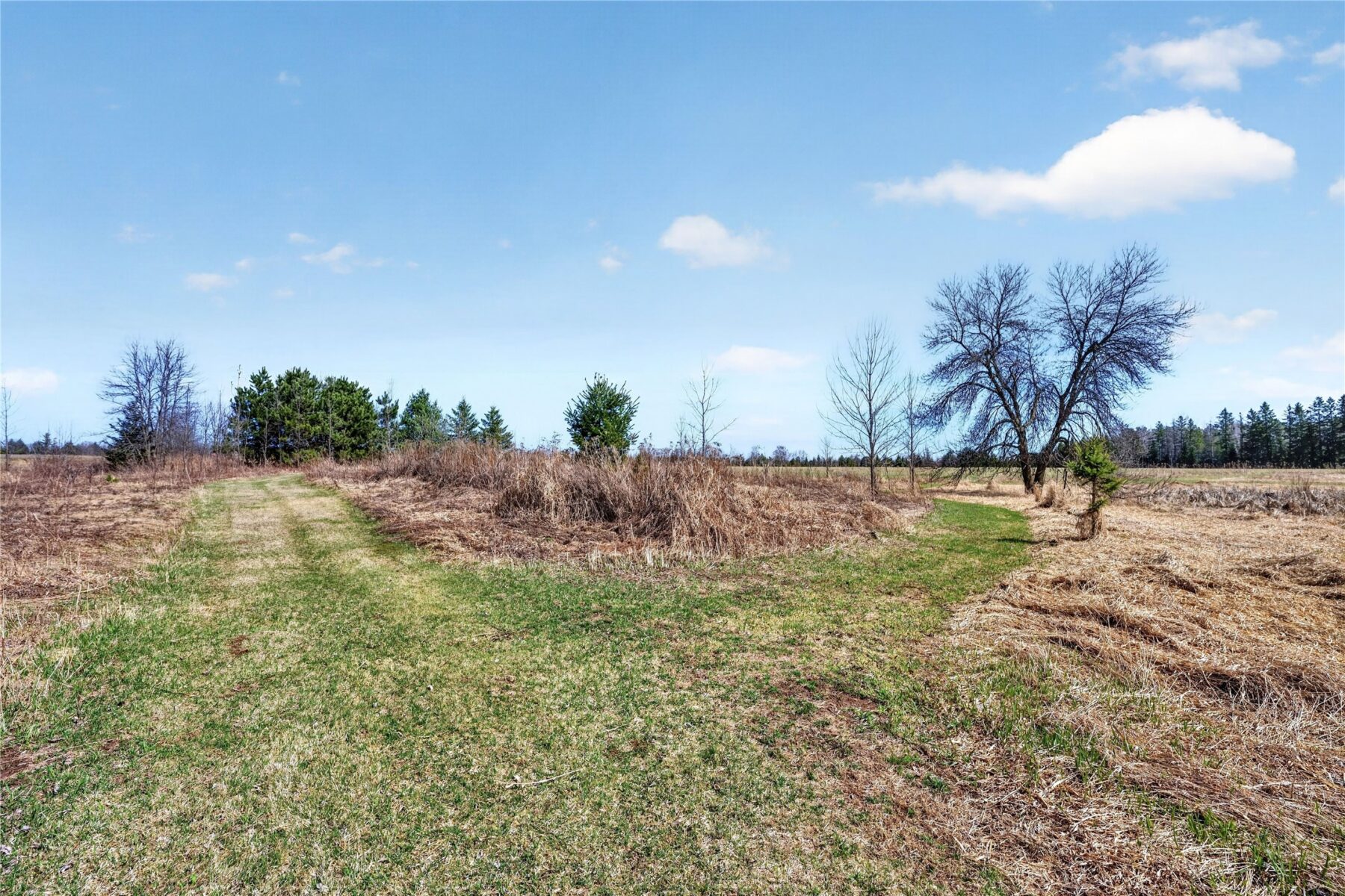 N5940 State Highway 40, Bruce, WI — photo 59