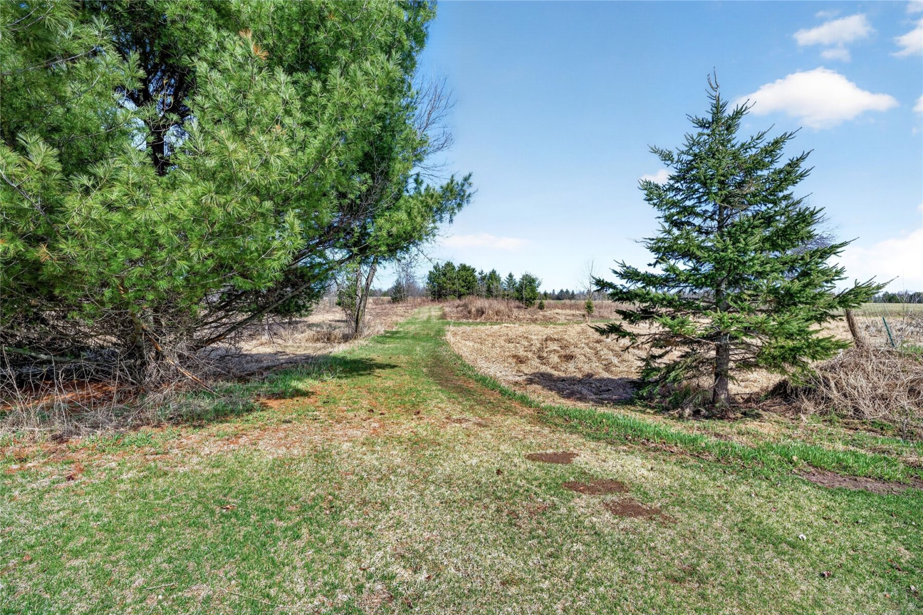 N5940 State Highway 40, Bruce, WI — photo 60