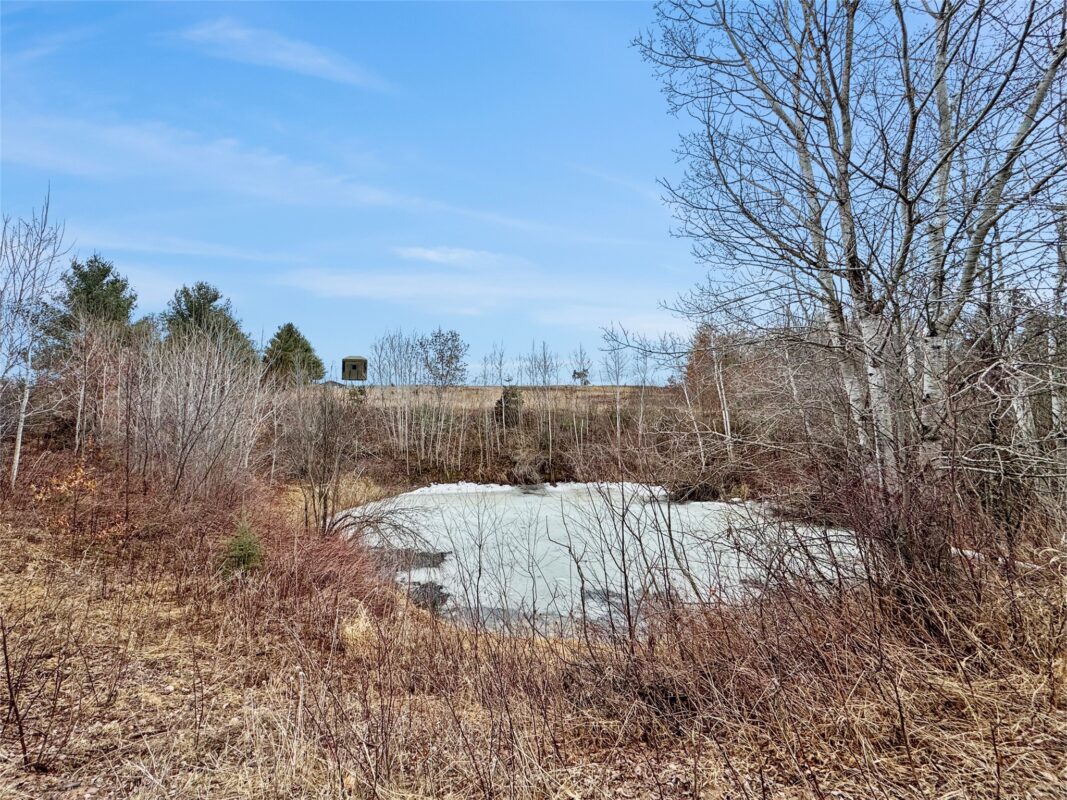 N7215 County Road A  Ladysmith WI 54848 — photo 40