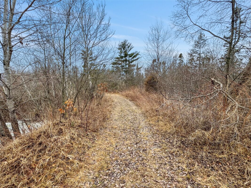 N7215 County Road A  Ladysmith WI 54848 — photo 42