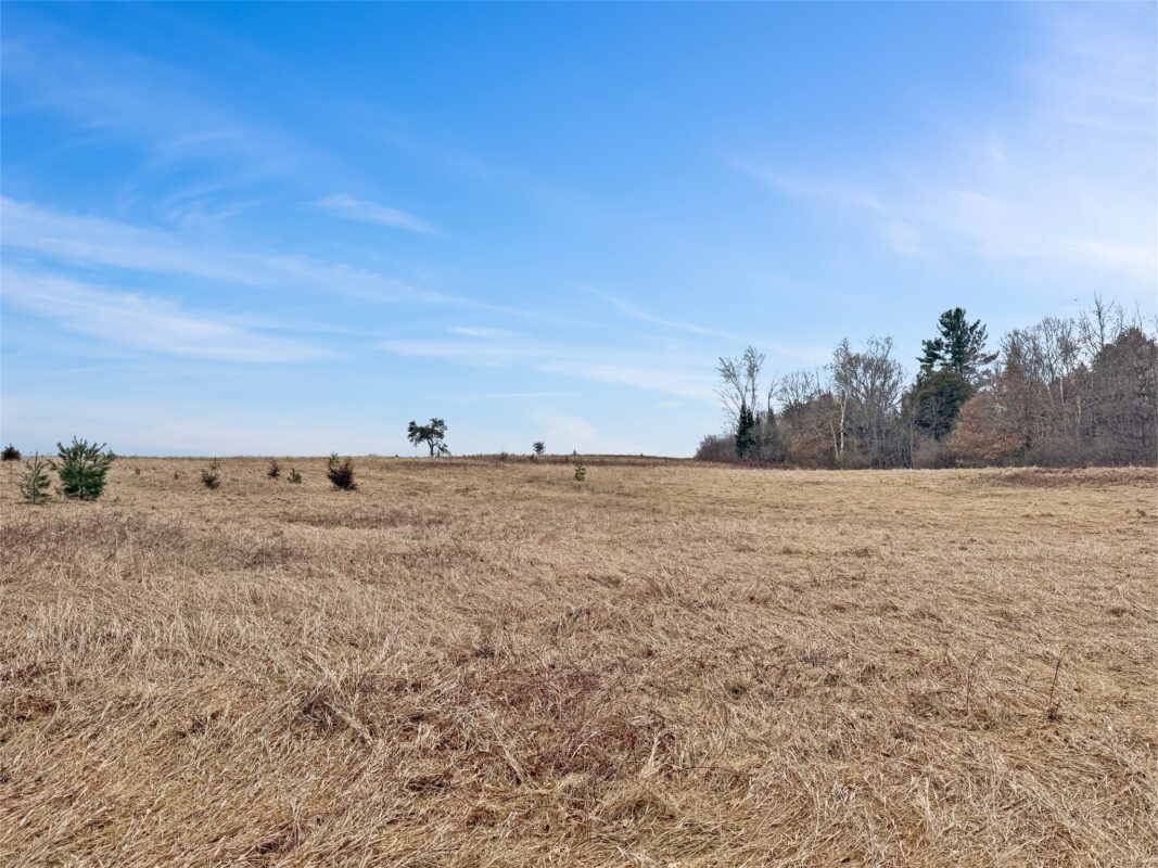 N7215 County Road A  Ladysmith WI 54848 — photo 44