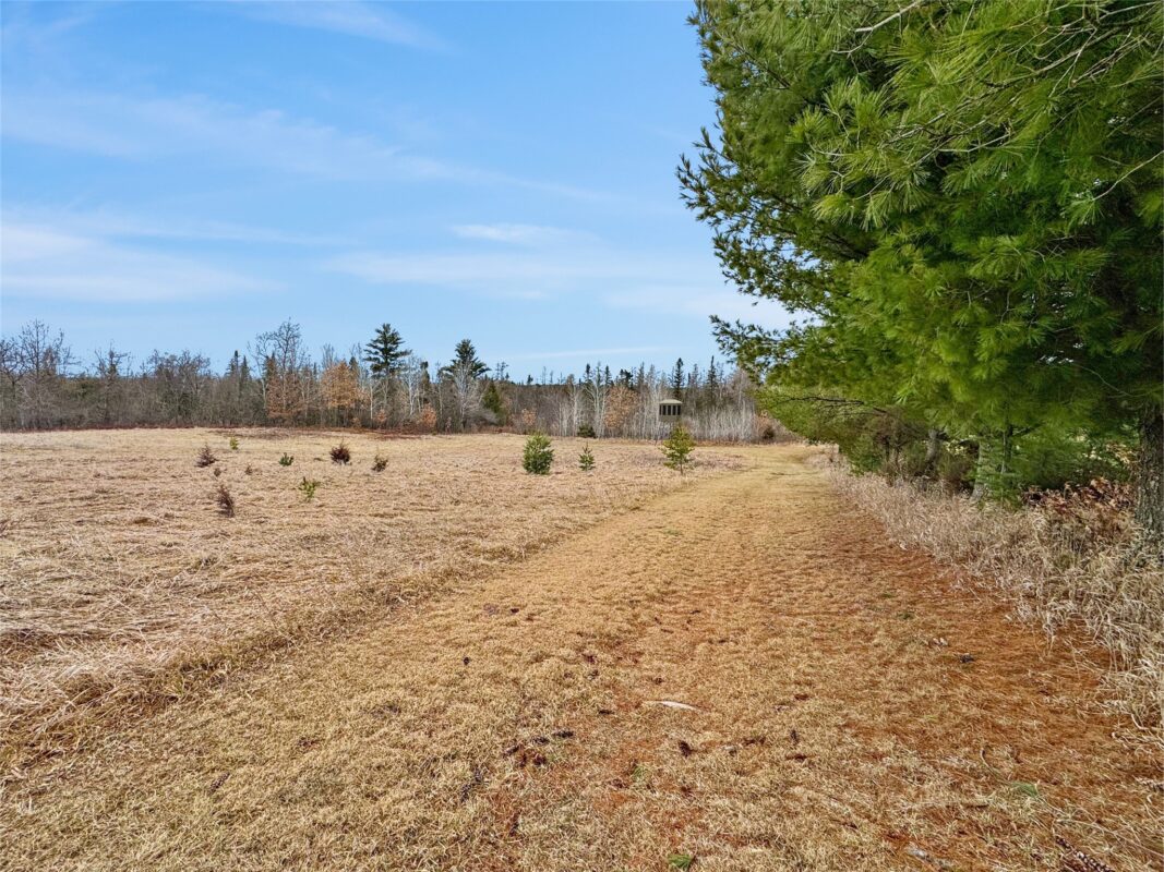 N7215 County Road A  Ladysmith WI 54848 — photo 45