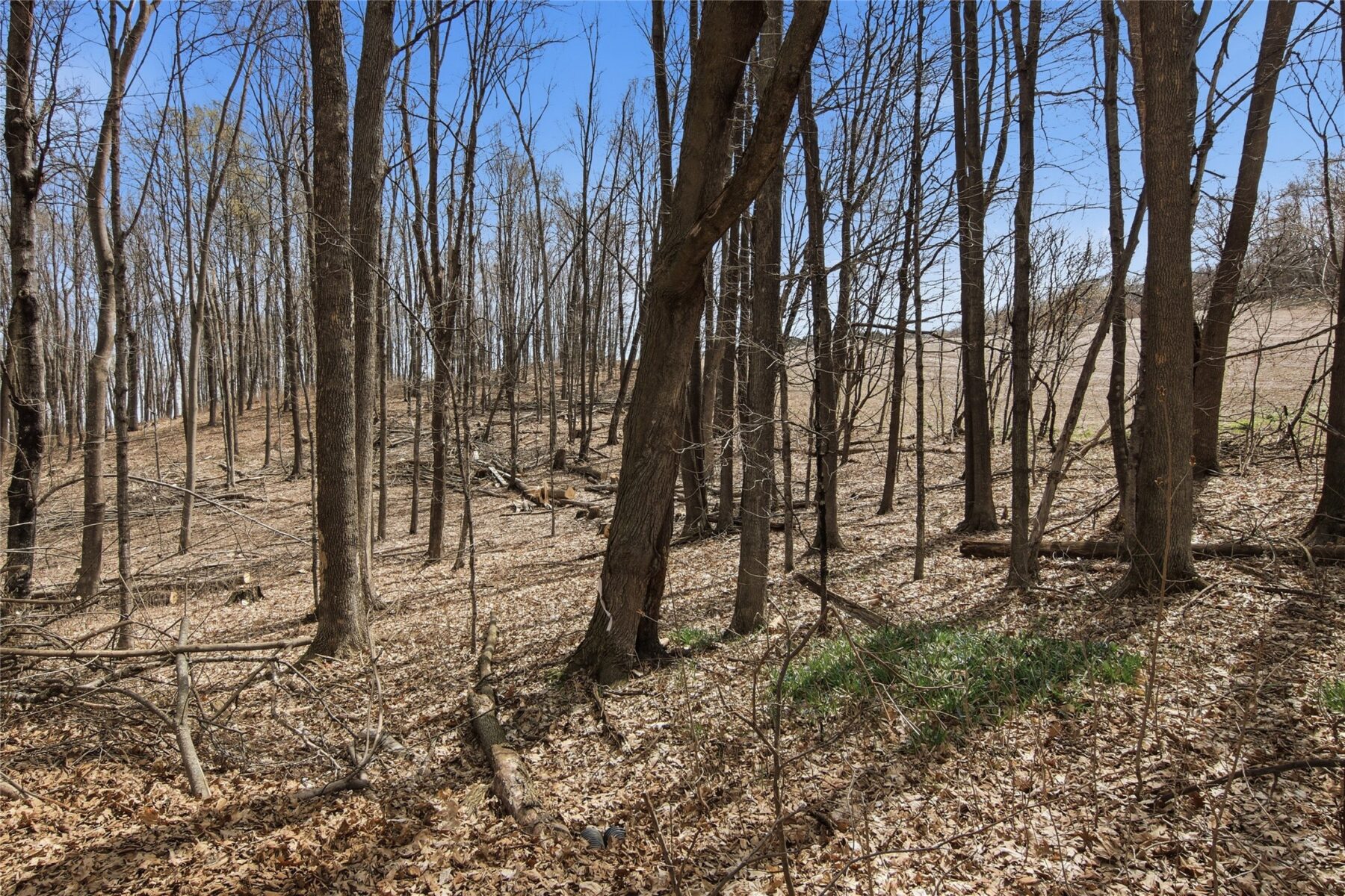 N7302 State Road 25, Menomonie, WI — photo 44