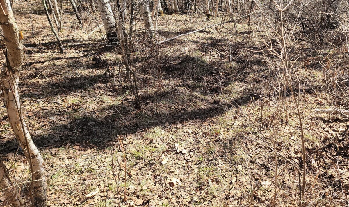 On Hunter Lake Road, Winter, WI — photo 7