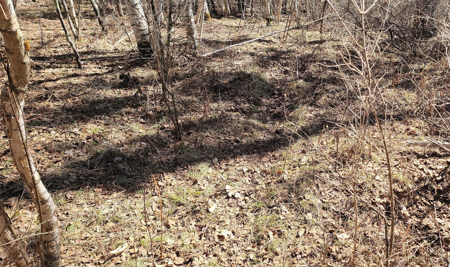 On Hunter Lake Road, Winter, WI — photo 7