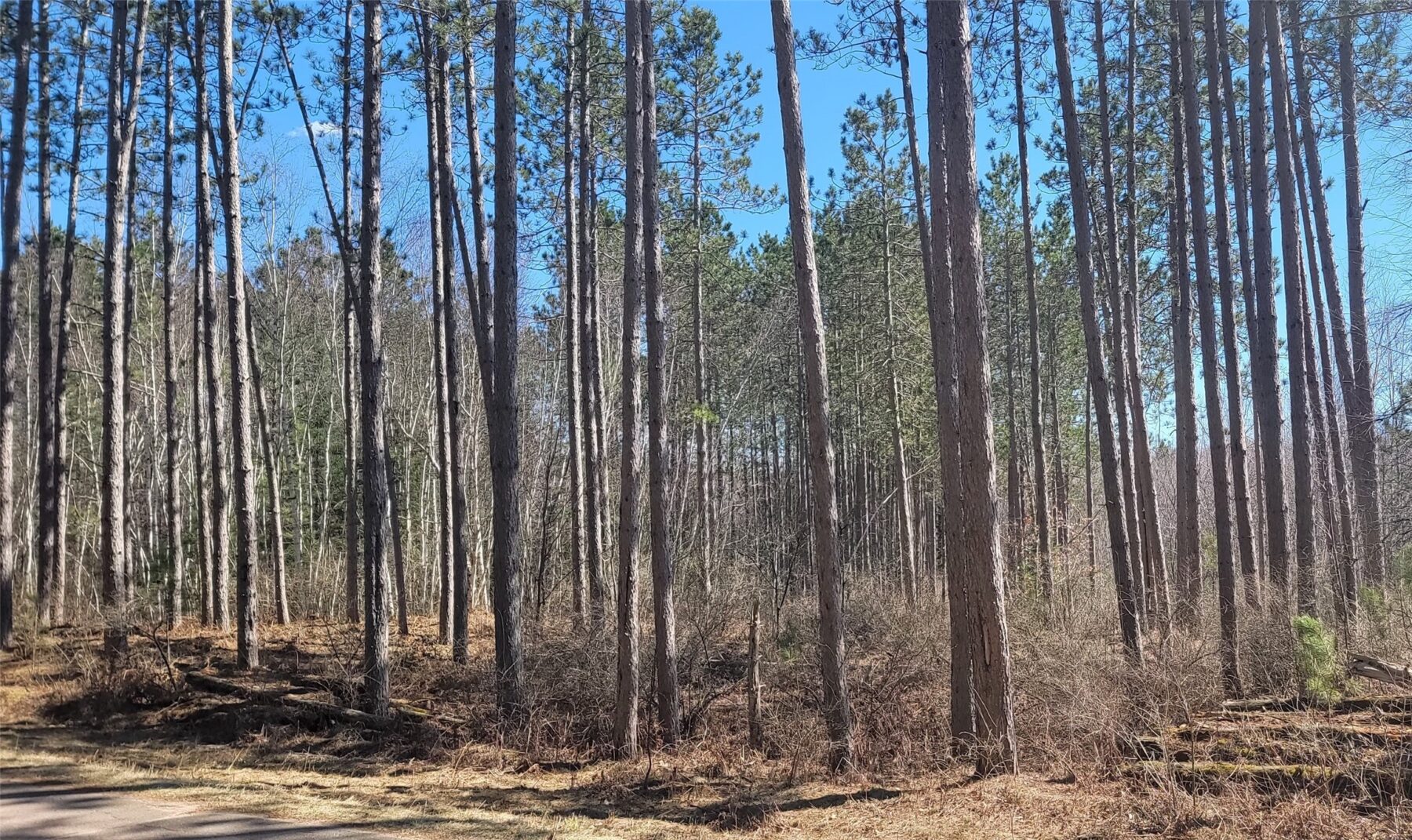 On Hunter Lake Road, Winter, WI — photo 8