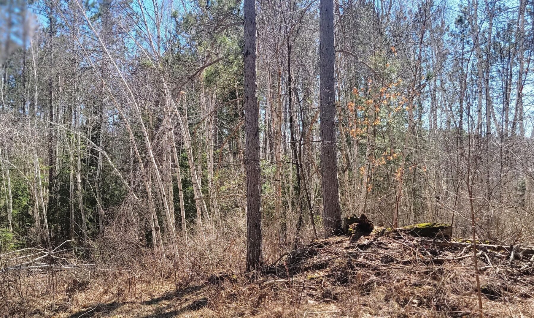 On Hunter Lake Road, Winter, WI — photo 9