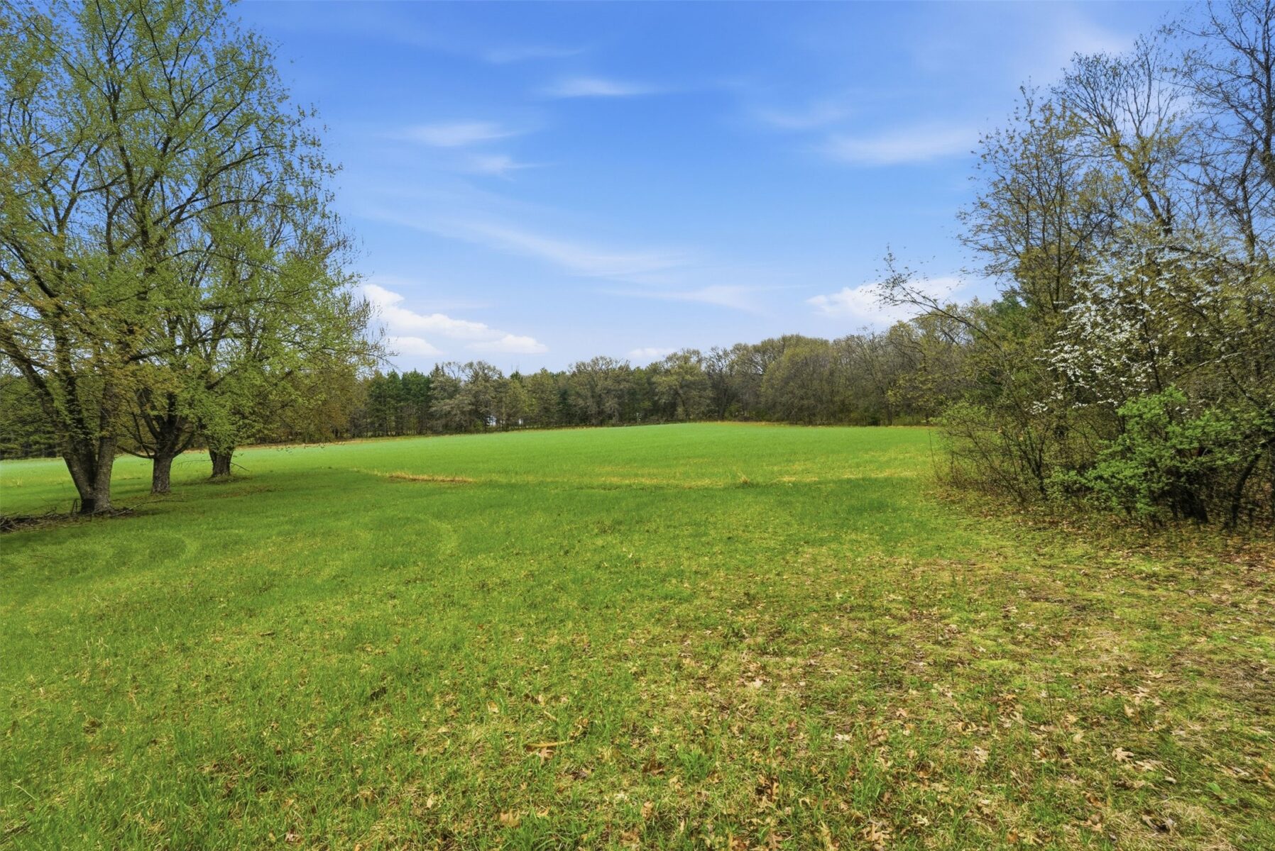 S 8101 South Road Mondovi WI 54755 — photo 23