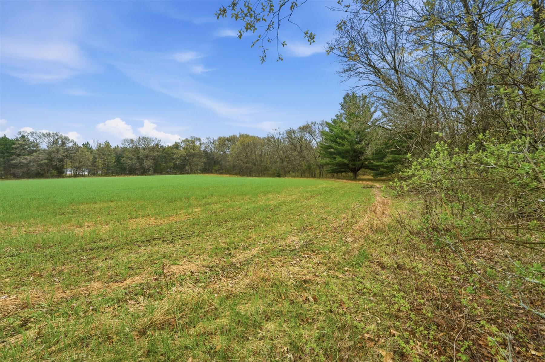 S 8101 South Road Mondovi WI 54755 — photo 24