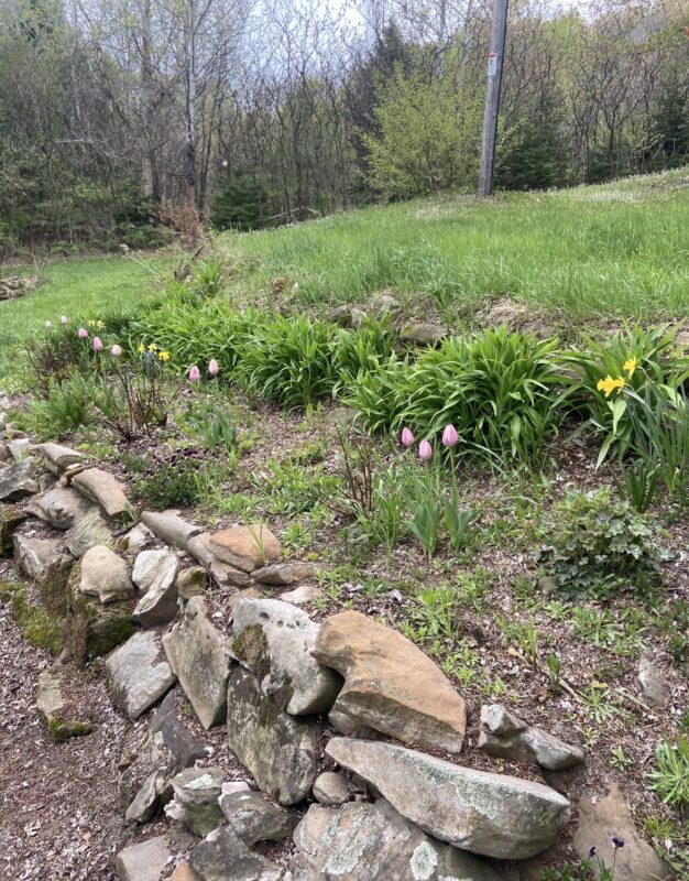 S9220 Hillview Road Fall Creek WI 54742 — photo 16