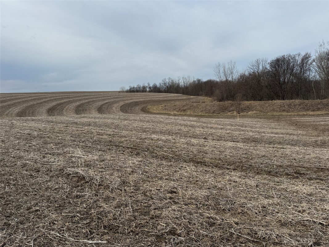 TBD County Road JJ Stockholm WI 54769 — photo 13